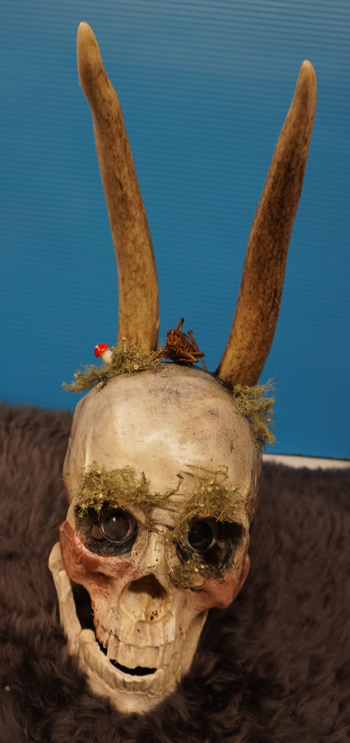 Halloween skull with antlers